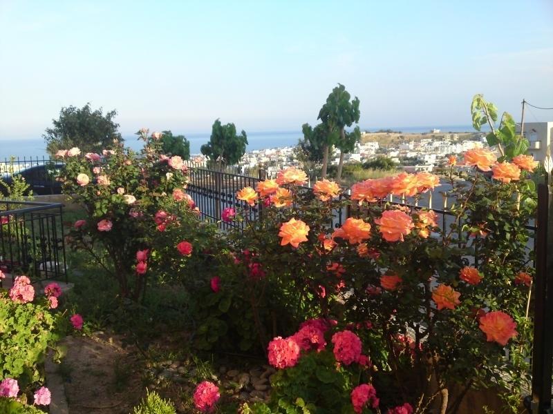 Margarita Αpartments Sea View Apartment Palaiochora Room photo